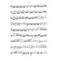 Schubert Arpeggione Sonata in A minor D 821 (Version for Viola)