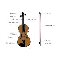 我的第一本小提琴初學教本 (附贈全尺寸指板貼)