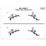 小小鋼琴家聽音及創作(2)