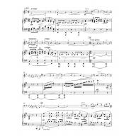 Elgar Concerto for Violoncello and Orchestra in E minor op. 85