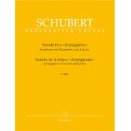 Schubert Sonata in A Minor D 821 