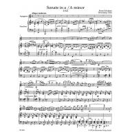 Schubert Sonata in A Minor D 821 