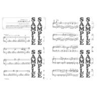 【Piano Solo】美しく響くピアノソロ <上級> 【スタジオジブリ名曲集 2】