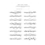 Scarlatti Selected Piano Sonatas, Volume IV