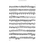 Prokofiev Sonata Opus 115 for Violin Solo