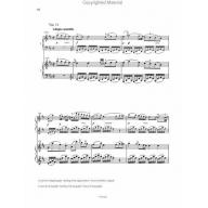 Mozart Piano Sonatas Vol. 1
