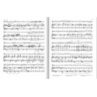 Ravel Violin Sonata G major