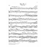 Mendelssohn Piano Trio no. 1  in D minor op. 49 (Additional Flute Part)