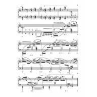 Liszt Transcendental Studies for for Piano Solo