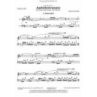 Gary Schocker - Ambidextranata for Flute and Piano