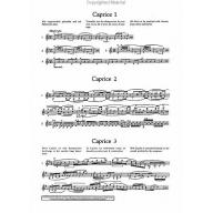 Rode 24 Caprices for Violin