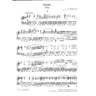 Sibelius Sonata in F major Op.12 for Piano Solo