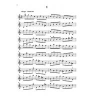 大譜版 凱薩練習曲 (上冊) (小提琴)
