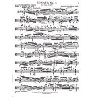 *Bach Six Sonatas and Partitas, S. 1001-1006 - Viola Solo