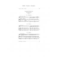 Tschaikowsky Souvenir d'un lieu cher Op. 42 for Violin and Piano <售缺>