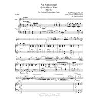 Paul Wetzger - By the Forest Brook (Am Waldesbach), Op. 33 for Flute and Piano 