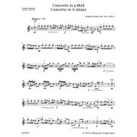 Vivaldi Concerto in A minor op. 3/6 for Violin and Piano