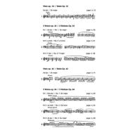 【波蘭國家版】Chopin Waltzes. Series A (Opp. 18-64)