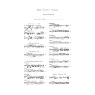 Mendelssohn Piano Works, Volume II <售缺>