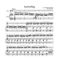 Rimsky-Korsakov Hummelflug (The Flight of the Bumble-Bee) for Flute and Piano