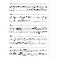 Stamitz Viola Concerto no. 1 D major