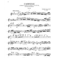 Stallman Cadenzas To Mozart'S Flute Concerto for Flute