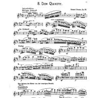 Strauss Orchestral Excerpts for Flute Solo