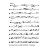 Bach Six Suites for Violoncello solo BWV 1007-1012 arranged for Viola solo