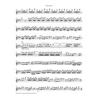 Vivaldi, Concerto E major op.8, No.1 