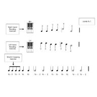 Piano Safari Sight Reading Cards Level 1（Asian Edition)