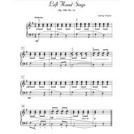 Beautiful Etudes, Book 2