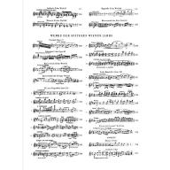 Beethoven, Piano Pieces
