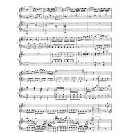 Mozart, Concerto for Piano and Orchestra no. 9 in E-flat major K. 271