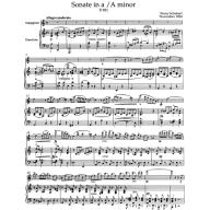 Schubert, Sonata in A minor D 821 