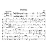 Schubert, Allegro in A minor 1P4H 