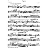 Orchester Probespiel Test Pieces for Orchestral Auditions Violin Band [1]