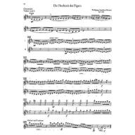 Orchester Probespiel Test Pieces for Orchestral Auditions Violin Band [2]