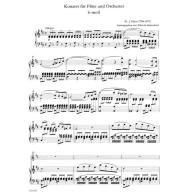 François-Joseph Fétis, Concerto in B minor for Flute