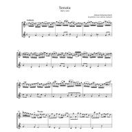 Bach, Three Sonatas for Flute BWV1033,1031,1020  