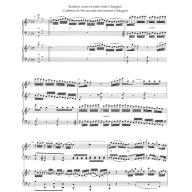 Mozart Cadenzas and Lead-ins Piano Concerto