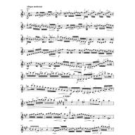 Rieding Concertino in Hungarian A minor op. 21 Violin