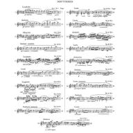 Chopin Complete Works VII - Nocturnes