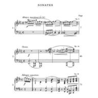 Chopin Complete Works VI - Sonatas