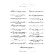 Duport 21 Etudes for Violoncello