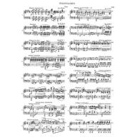 Chopin Complete Works VIII - Polonaises