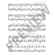 Gryaznov Piano Transcriptions