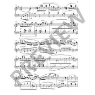 Gryaznov Piano Transcriptions