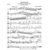 Taffanel Fantaisie on Themes from 