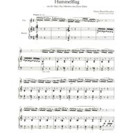 Rimskij-Korsakow Flight of the Bumblebee Flute