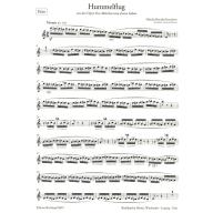 Rimskij-Korsakow Flight of the Bumblebee Flute